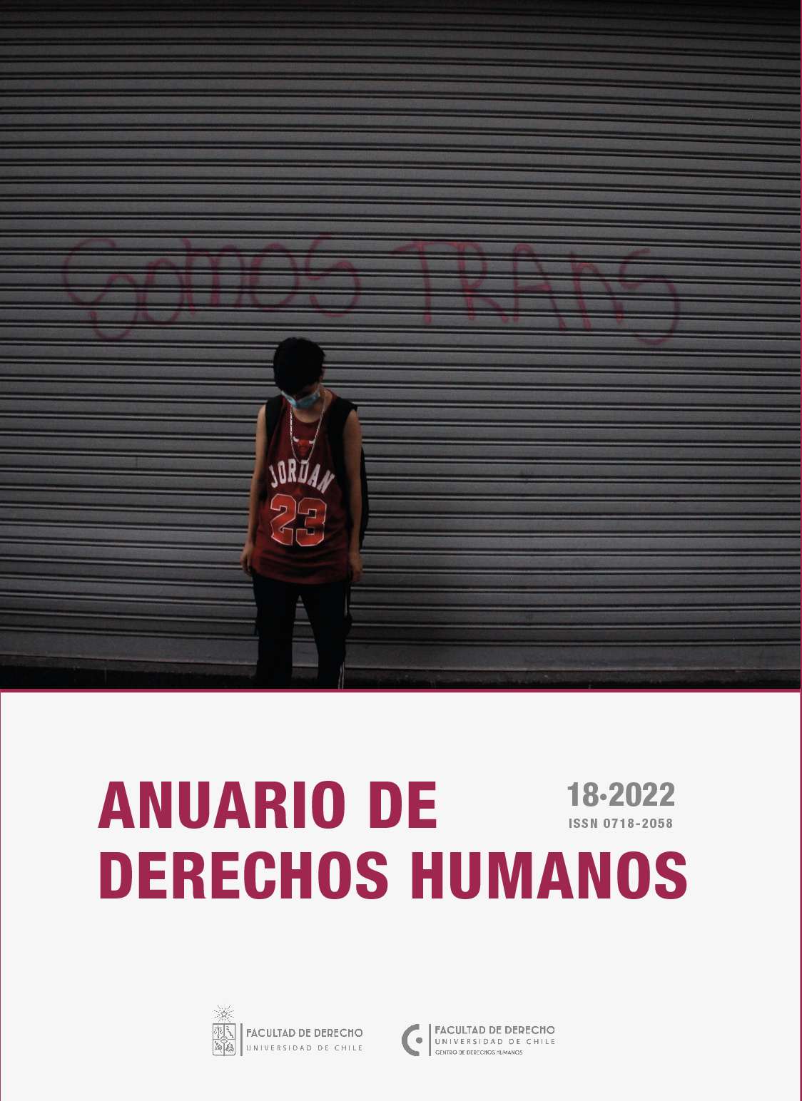 							View Vol. 18 No. 2 (2022): Anuario de Derechos Humanos
						